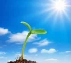 在网上黑网充值相同金额出款有什么办法出该 处理策略(图)