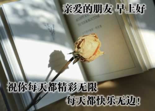 网上平台风控审核不给提款 处理思路(图)