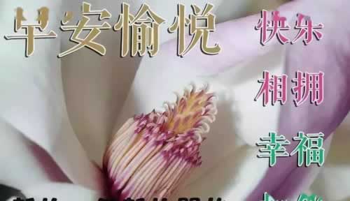 取款提示网络波动退回该注意(图)