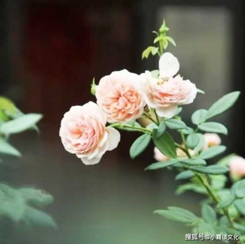 海南大宗商品交易中心想知道都在这 化解方案(图)