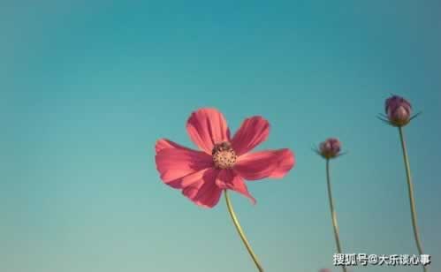 在网上平台赢钱通道总在维护提取失败 应对方式(图)