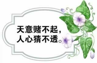网上赢钱被黑有成功出款的不该怎么弄(图)
