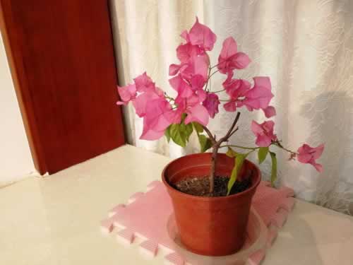 网络平台客服说系统风控审核取款失败的操作方案(图)