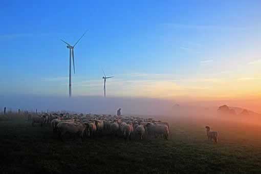 娱乐平台提现失败说通道维护 破解办法（图）
