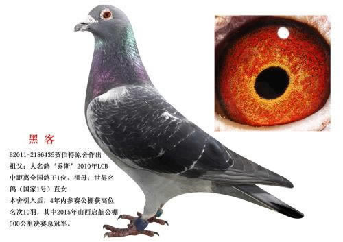 平台系统显示财务清算提款不出怎样避免(图)